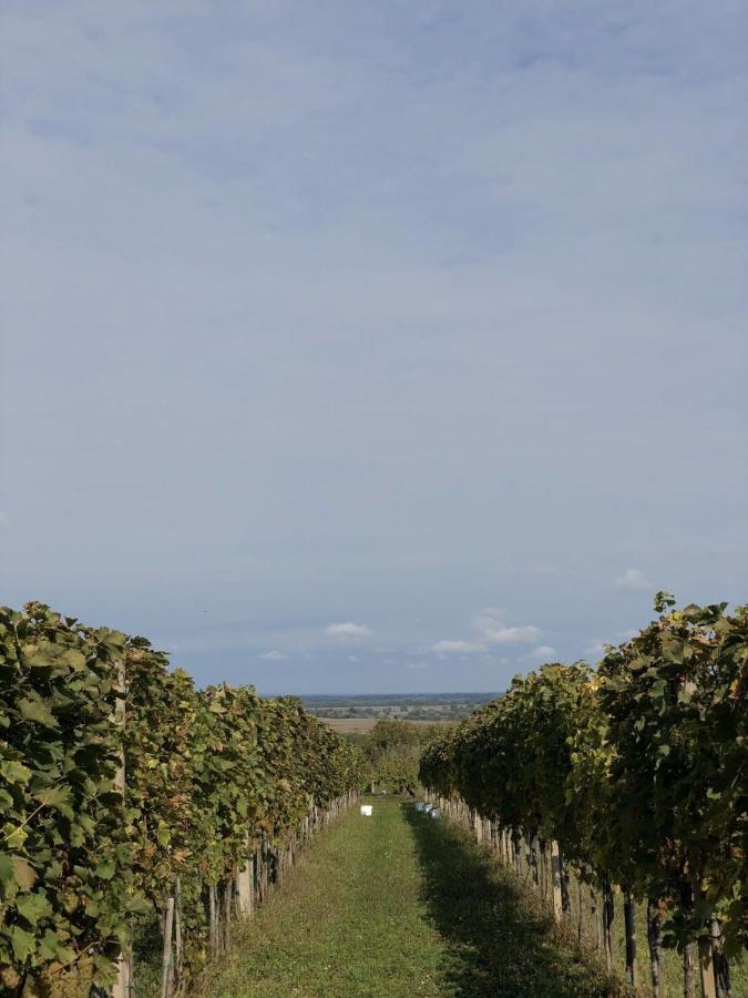 Baranja Black Hill'S Gajic Exterior foto