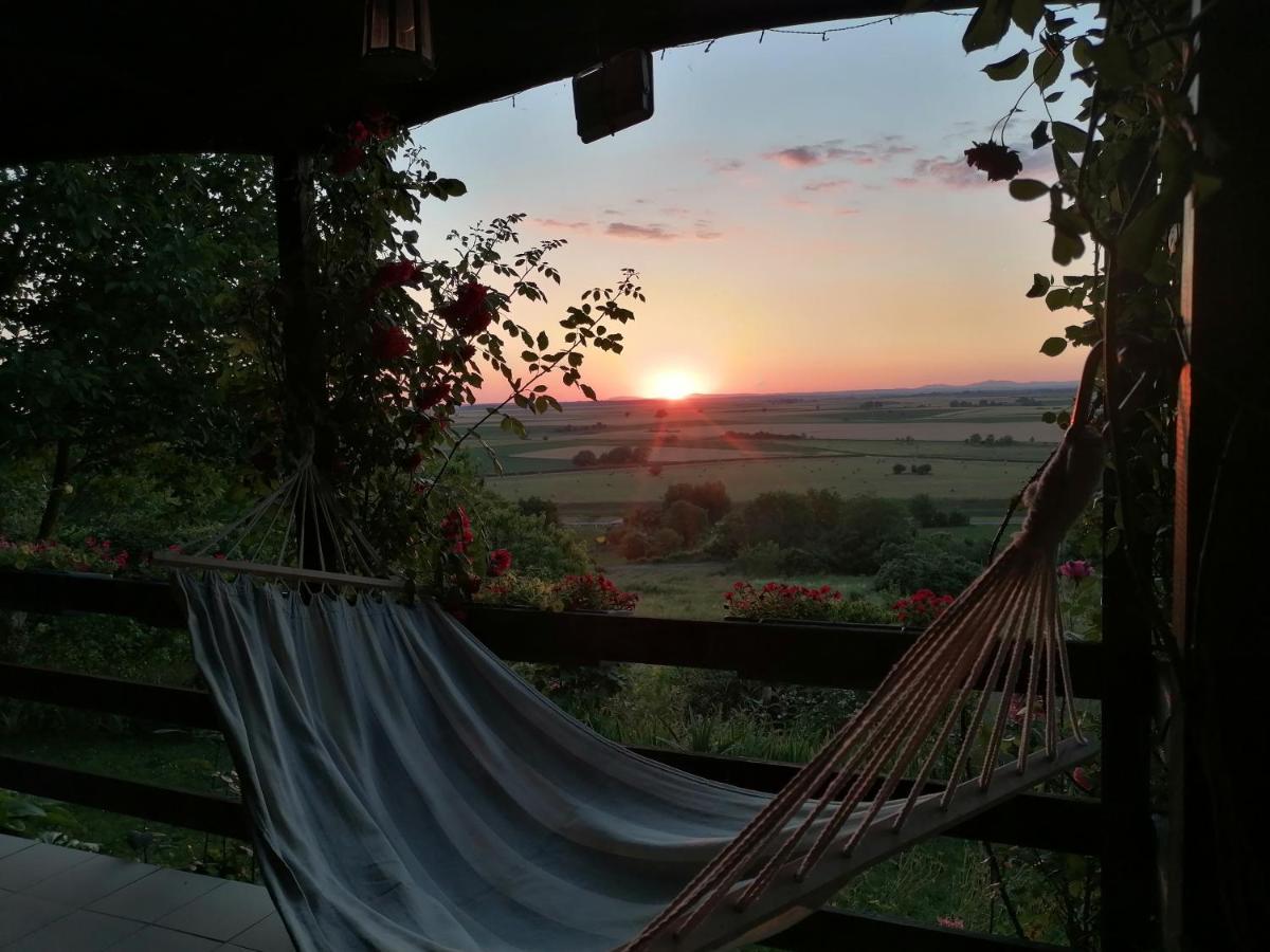 Baranja Black Hill'S Gajic Exterior foto